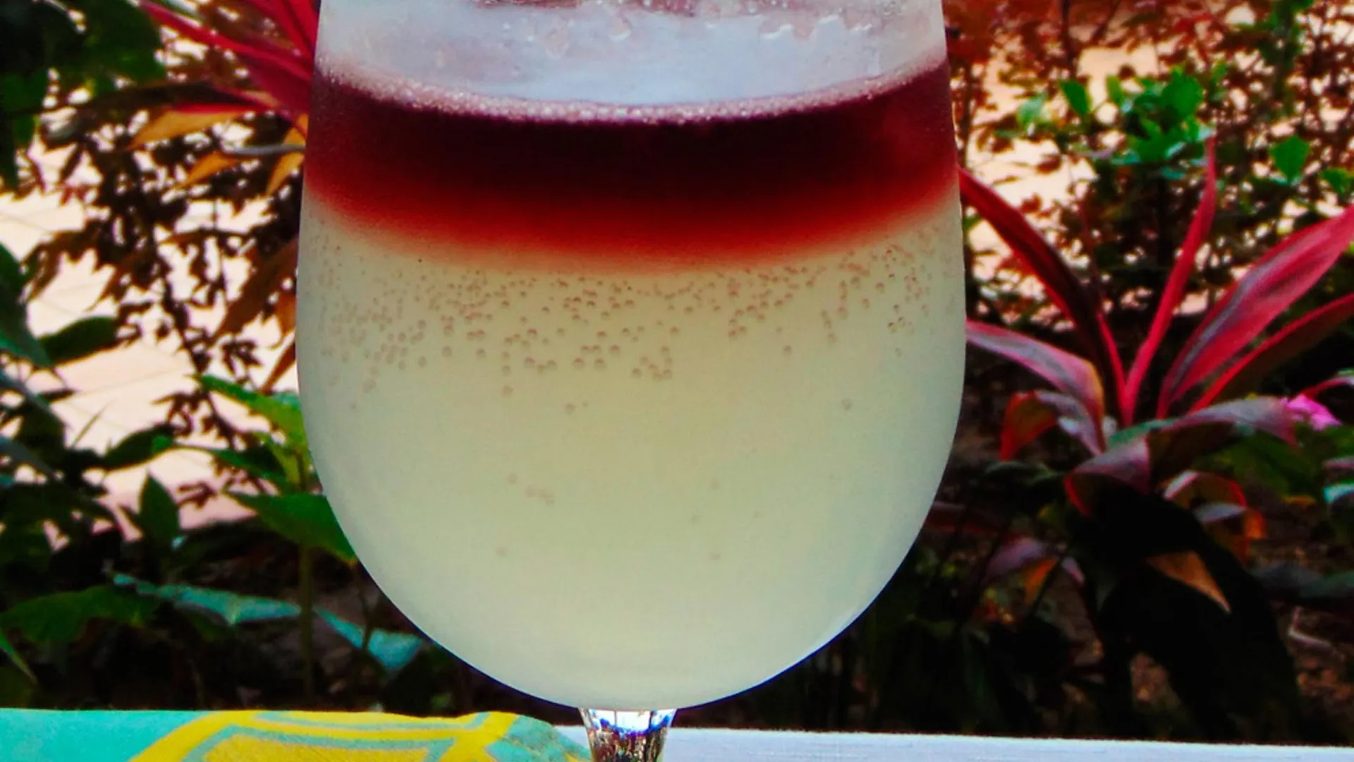 Hotel El Pescador Puerto Vallarta